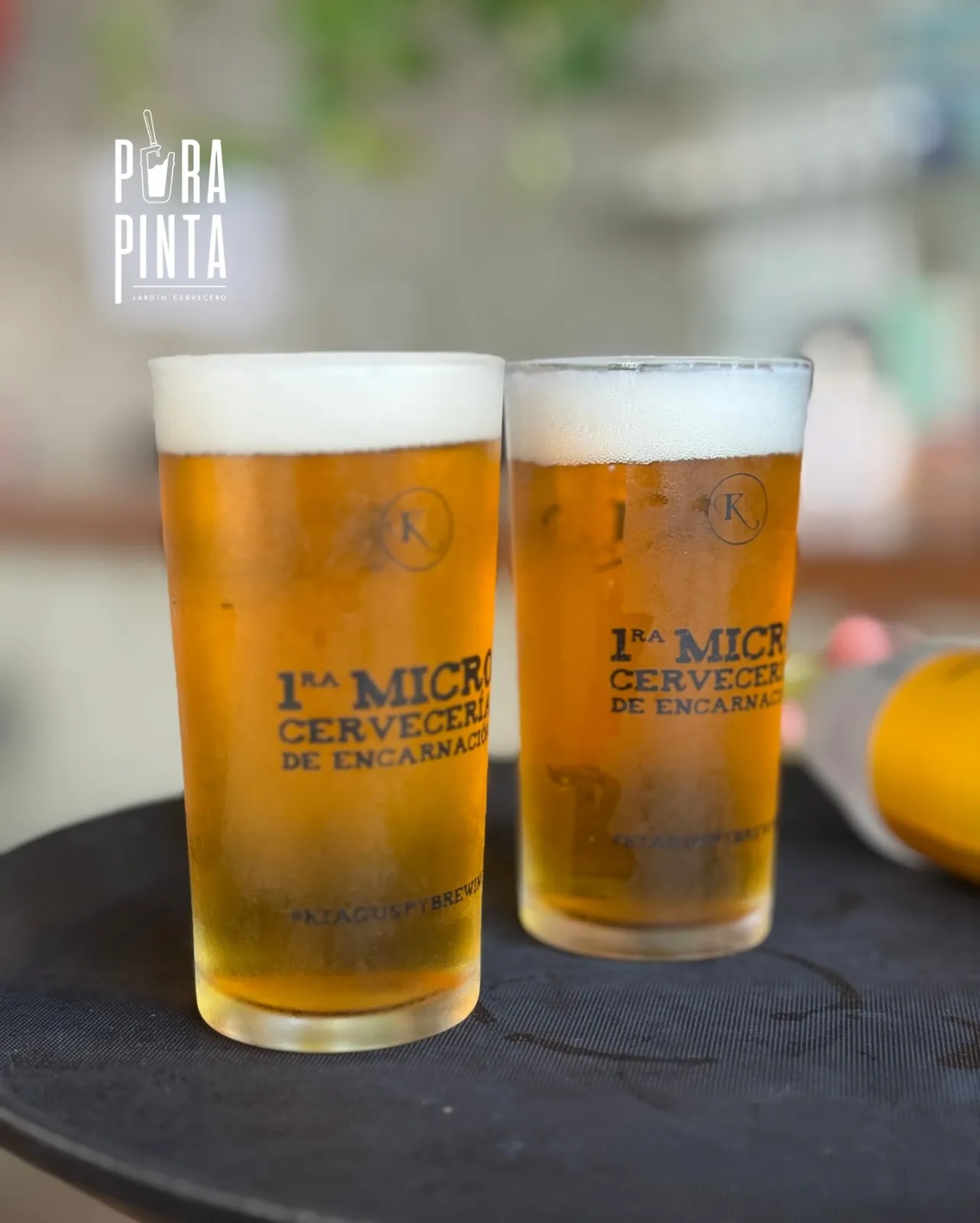 Portada PURAPINTA JARDIN CERVECERO - ENCARNACIÓN