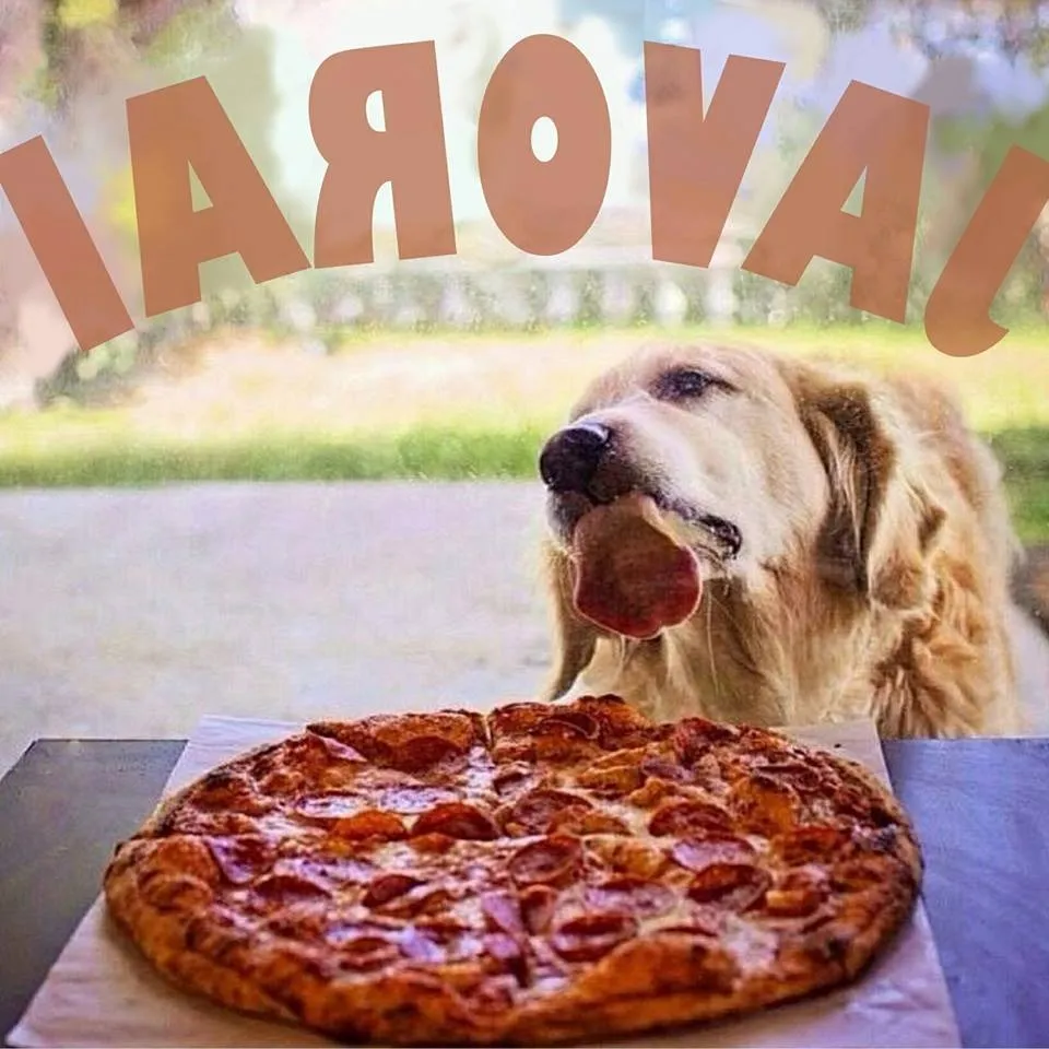 Portada JAVORAI – BOGGIANI