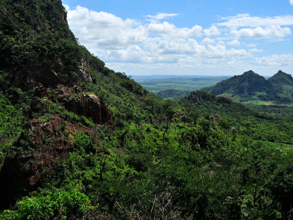 Naturaleza