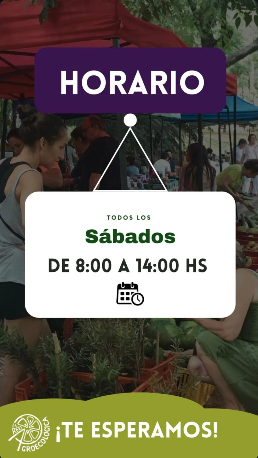 Fondo LA FERIA DE LA RED