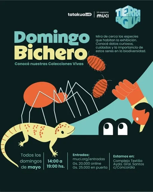 Fondo DOMINGOS BICHEROS