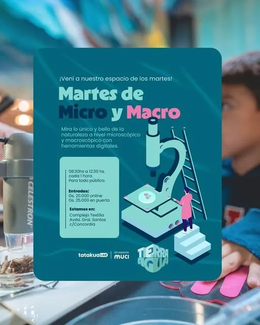 Fondo MARTES DE MICRO Y MACRO
