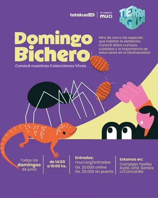 Fondo DOMINGOS BICHEROS