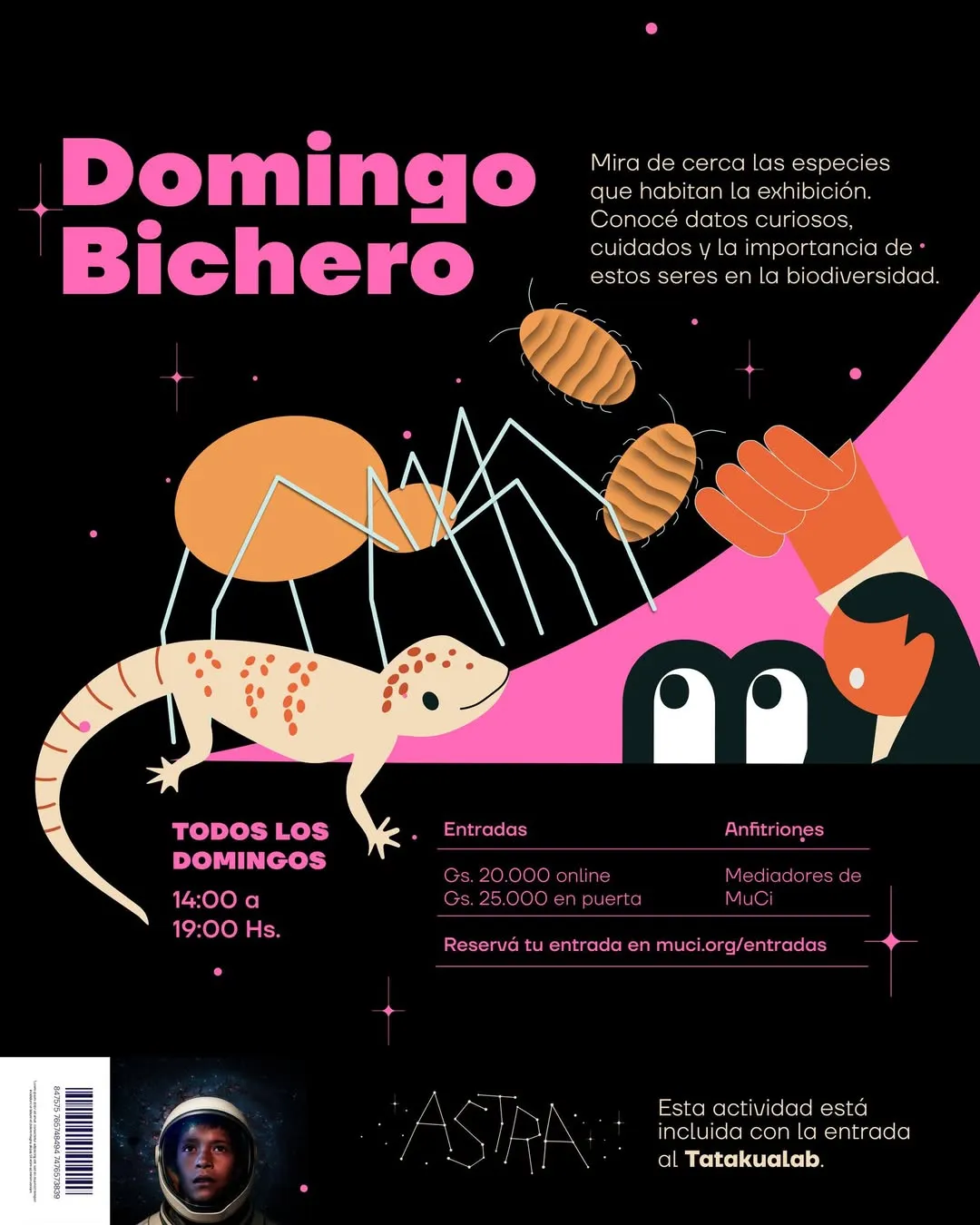 Fondo DOMINGO BICHERO