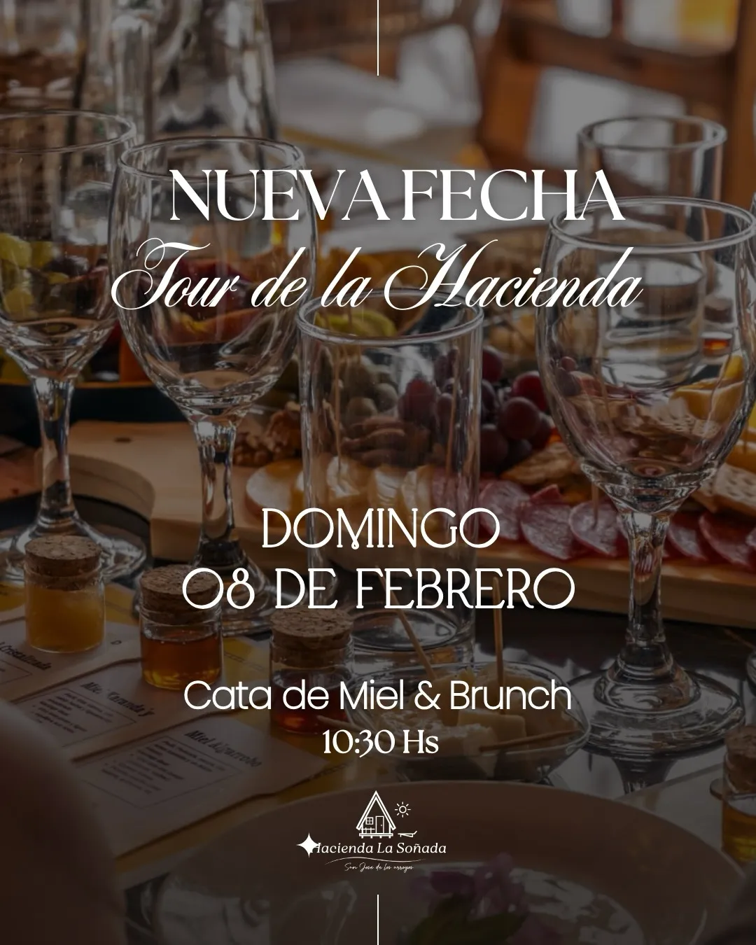 Fondo CATA DE MIEL & BRUNCH