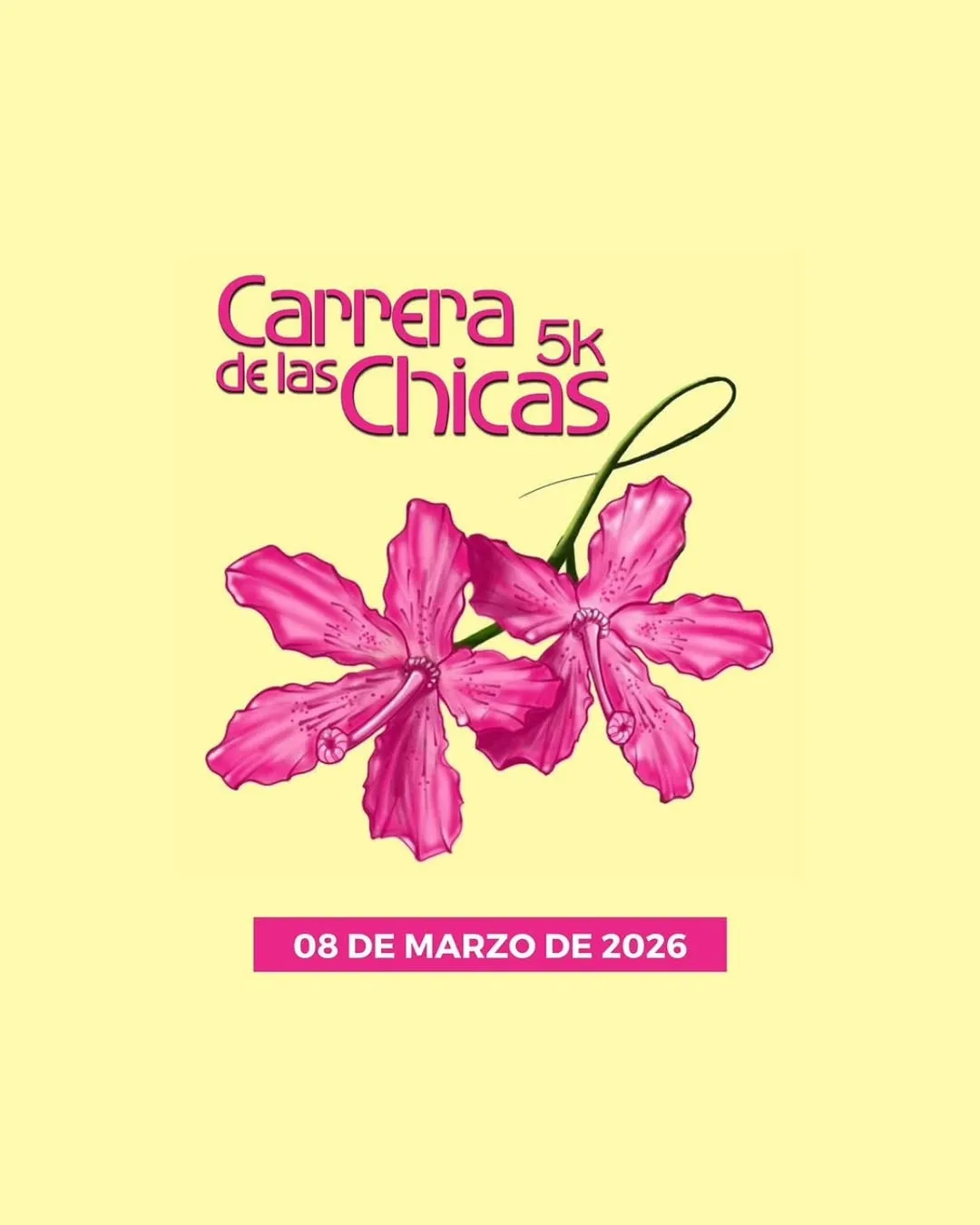 Portada CARRERA DE LAS CHICAS 5K - 2026