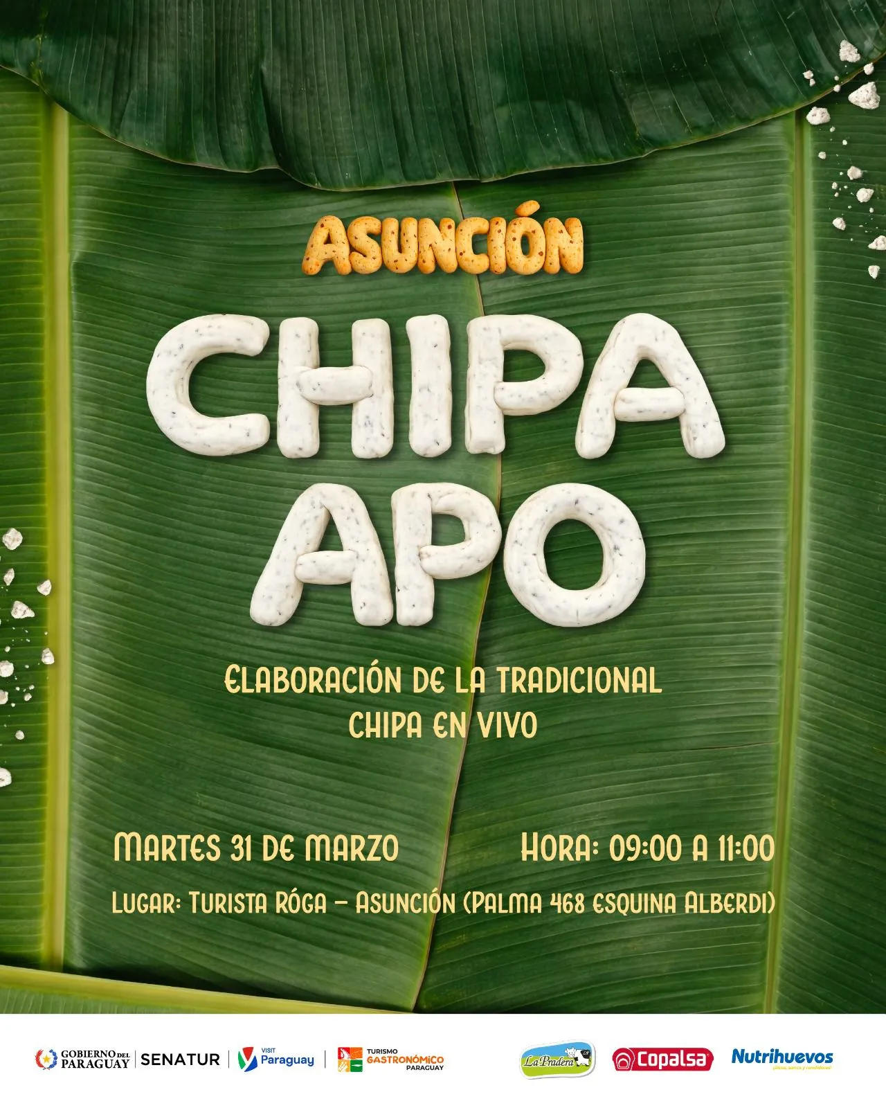 Fondo CHIPA APO  - TURISTA ROGA PALMA