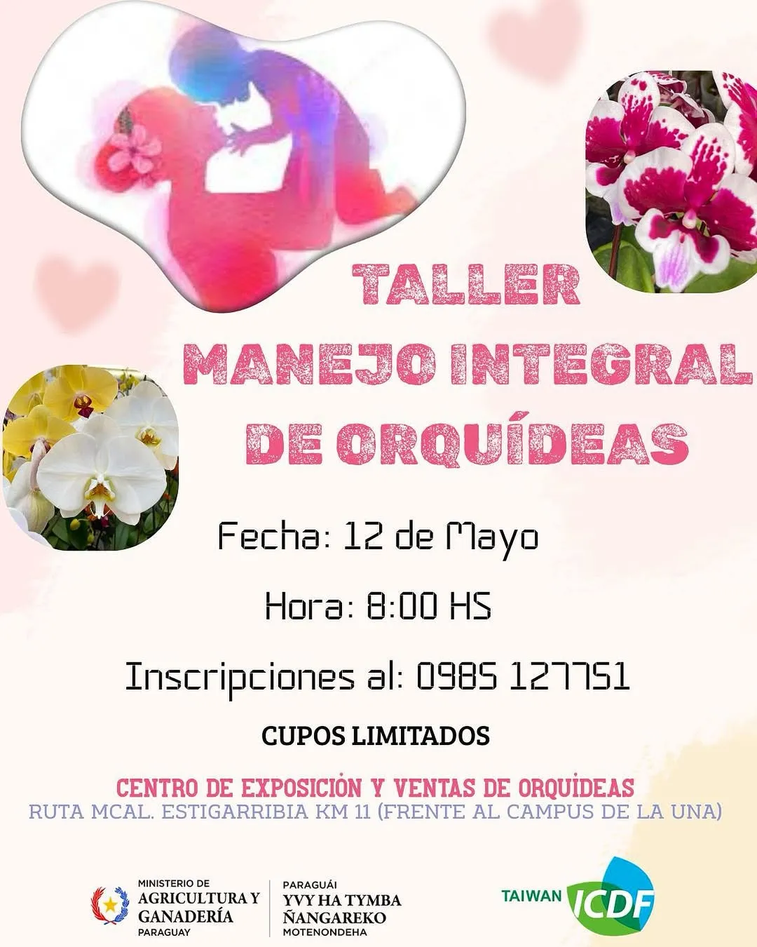 Fondo Taller de Manejo Integral de Orquideas