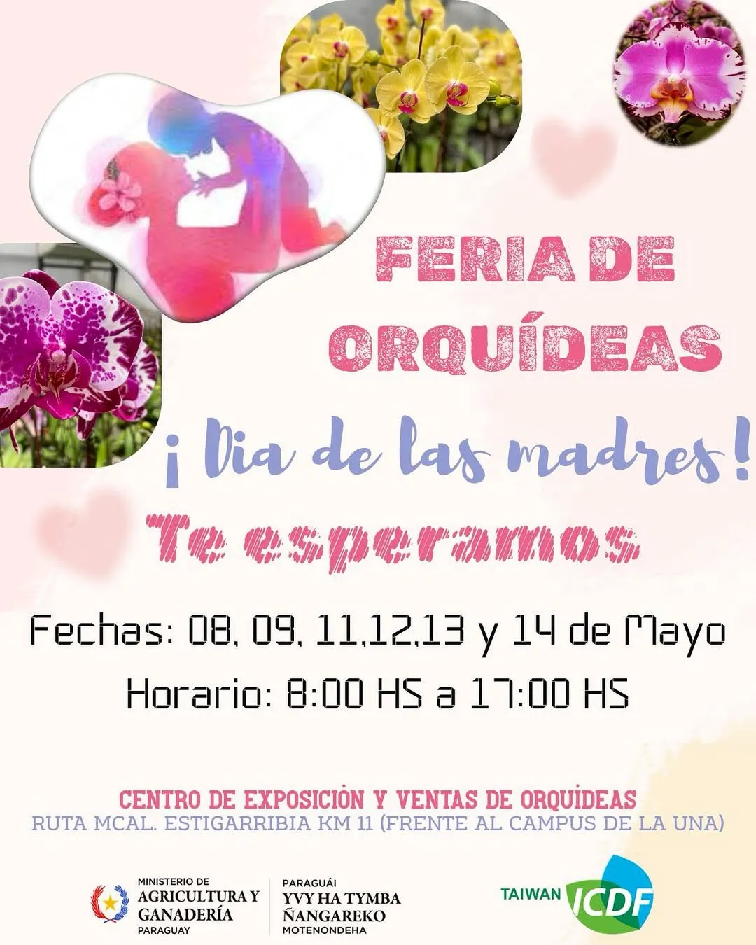 Fondo FERIA DE ORQUIDEAS