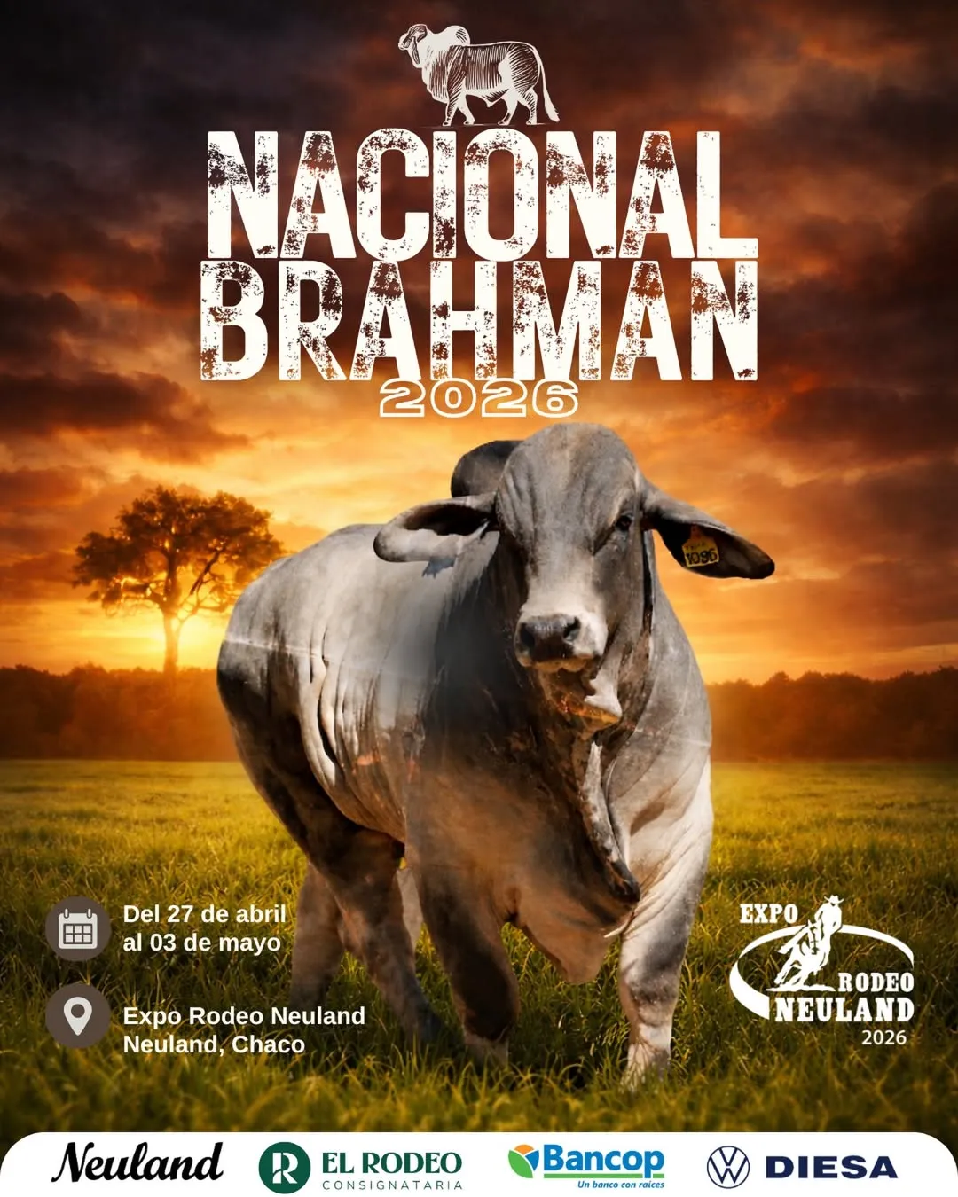 Fondo NACIONAL BRAHMAN 2026