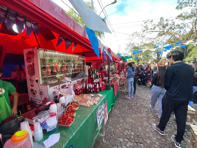 Fondo FERIA DE LA FRUTILLA EN AREGUA
