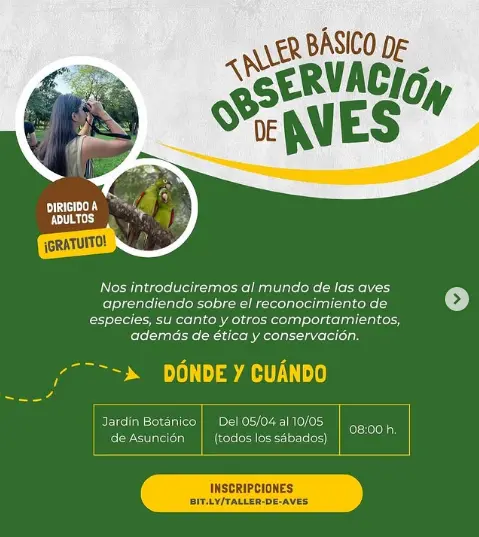 Portada taller básico de observación de aves