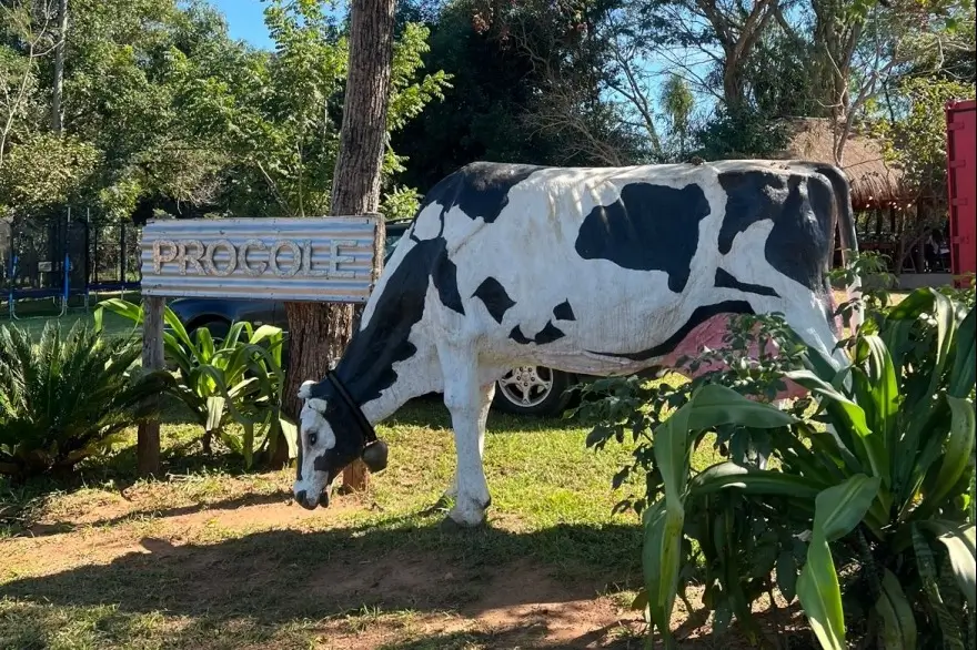 Fondo TOUR DEL QUESO - PROCOLE