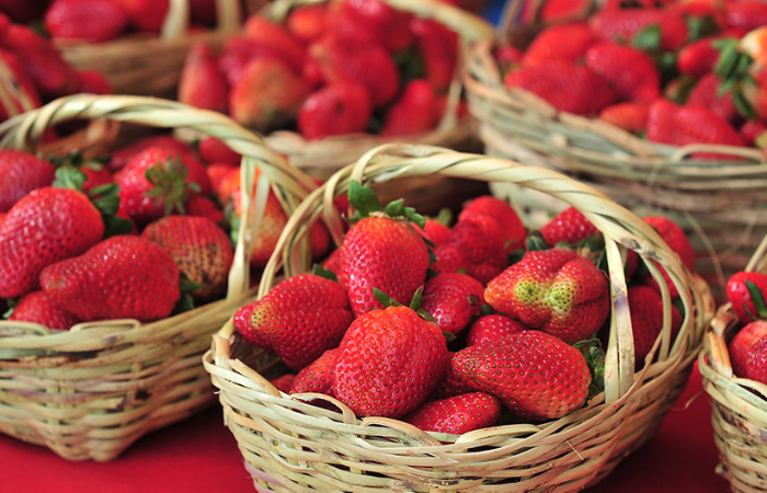 Portada Expo Frutilla