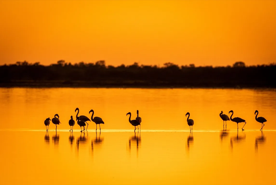 RUTA NATURAL DEL PARAGUAY