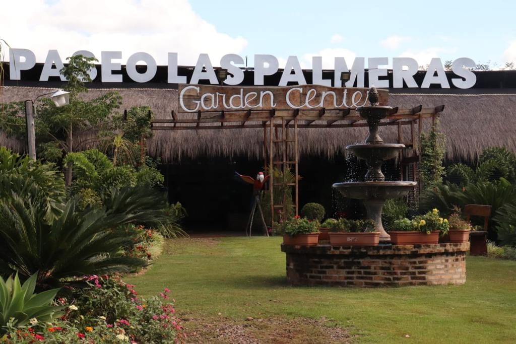 Paseo Las Palmeras
