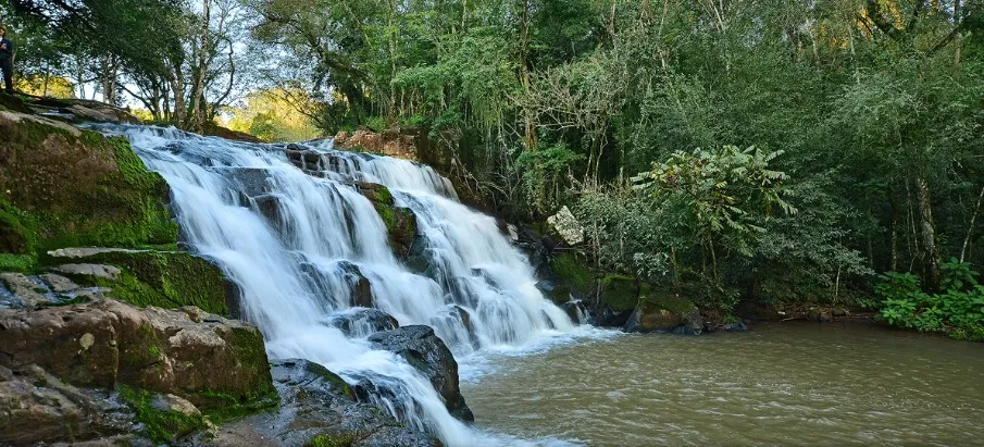 Portada SALTO AMAMBAY