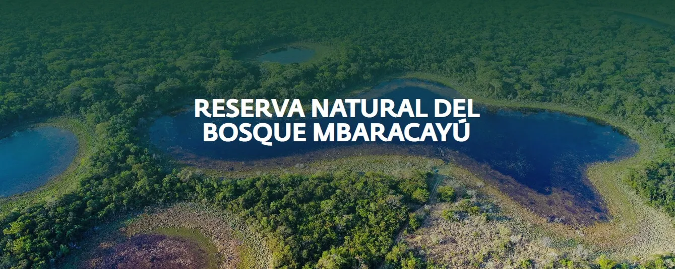 Portada RESERVA NATURAL DEL BOSQUE MBARACAYÚ