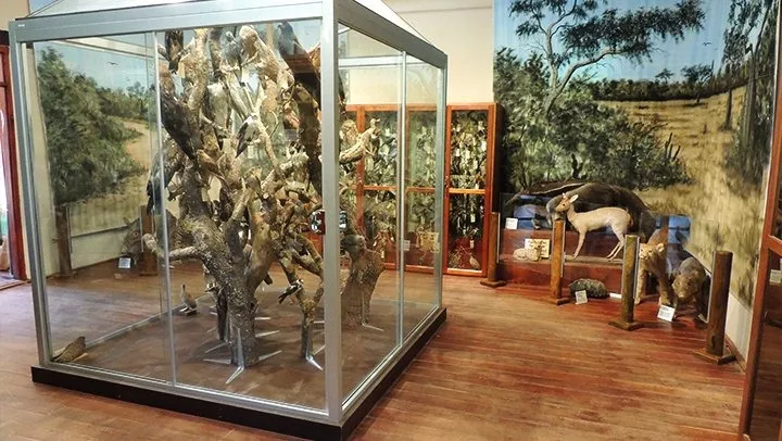 Portada MUSEO CIENTÍFICO JAKOB UNGER
