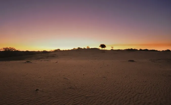 Portada DUNAS DE CERRITO